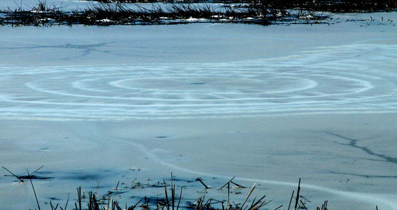 Lake Ice - Ice Rings